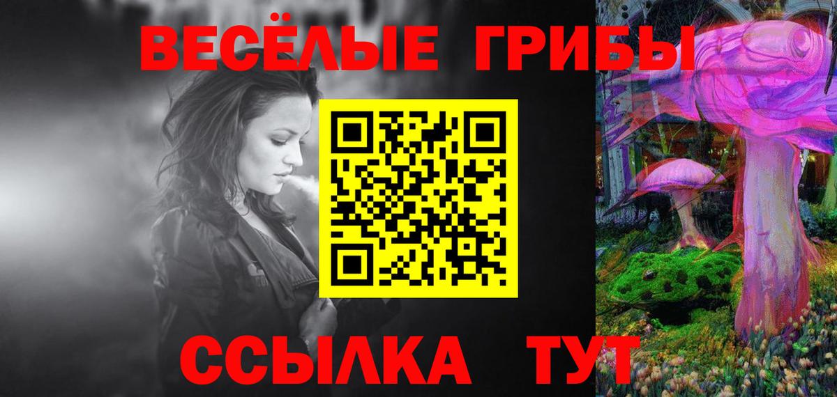 Азнакаево  Псилоцибиновые грибы MAGIC MUSHROOMS  Вход с VPN 